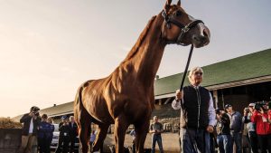 Triple Crown Justify