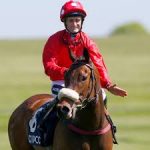 Mabs Cross