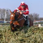 Tiger Roll